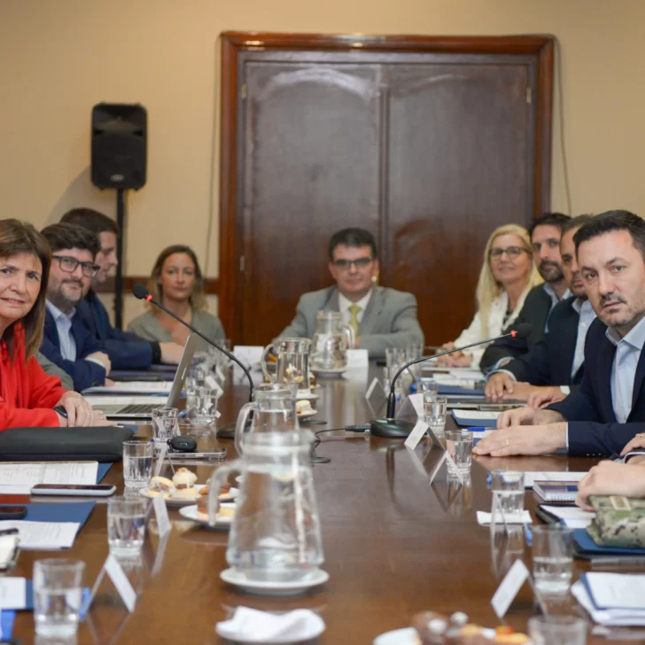 Petri recibió a Bullrich en la “primera mesa de trabajo interministerial”