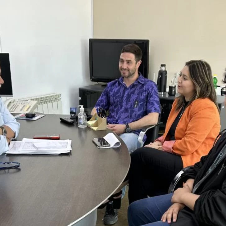 La Caja de Previsión Social pone en marcha el nuevo sistema liquidador La Caja de Previsión Social pone en marcha el nuevo sistema liquidador