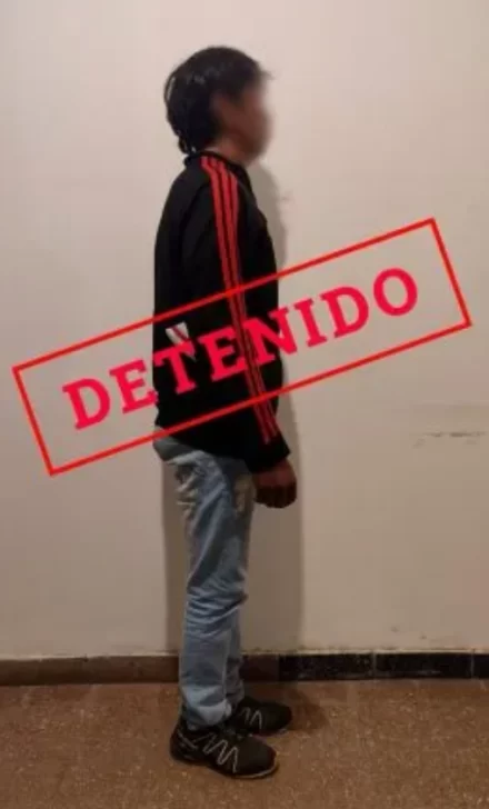 cona-detenido-jones-huala-875-440x728