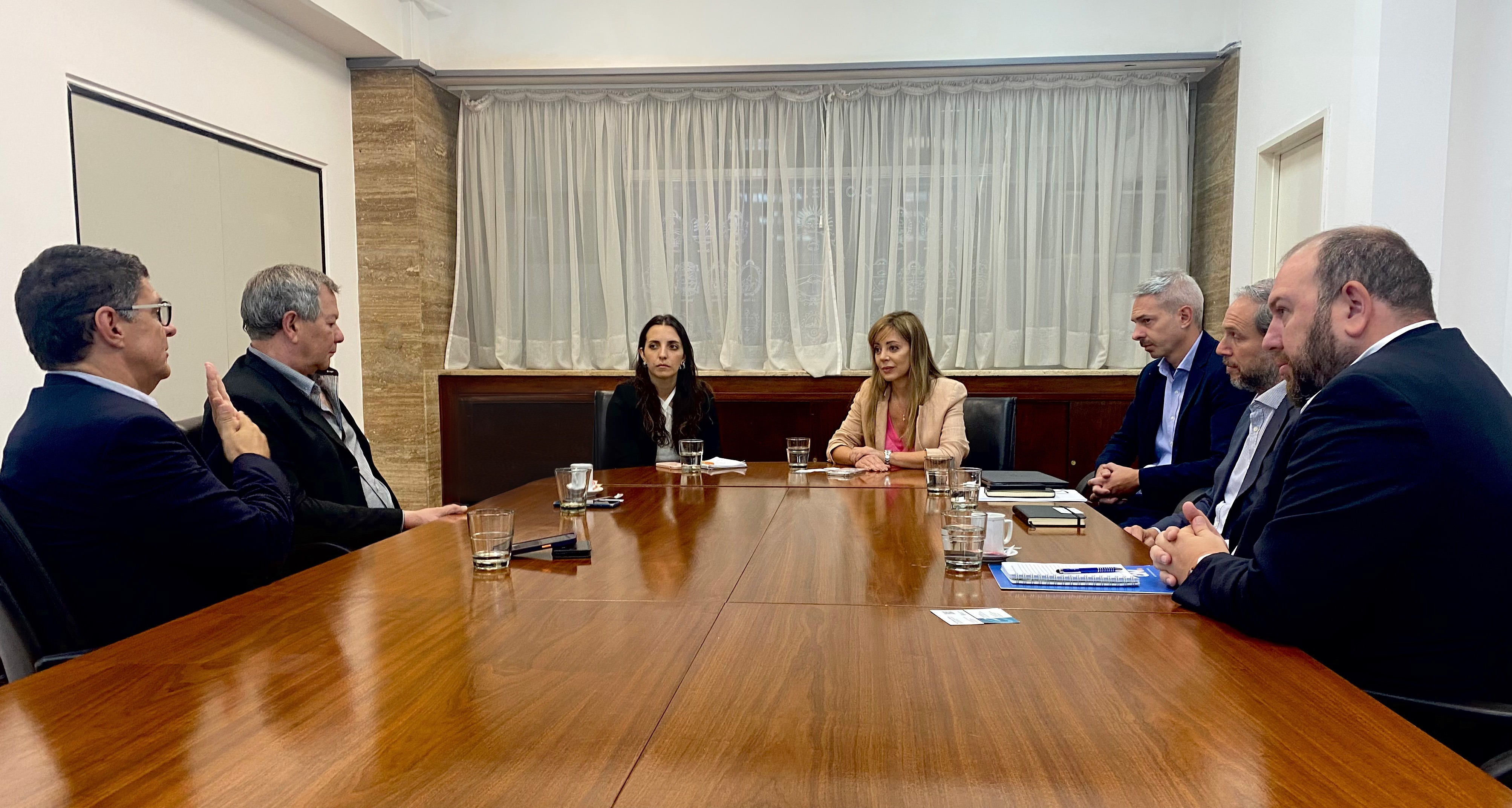 Flavia Royón se reunió con la Cámara Argentina de Energías Renovables para avanzar en la transición energética