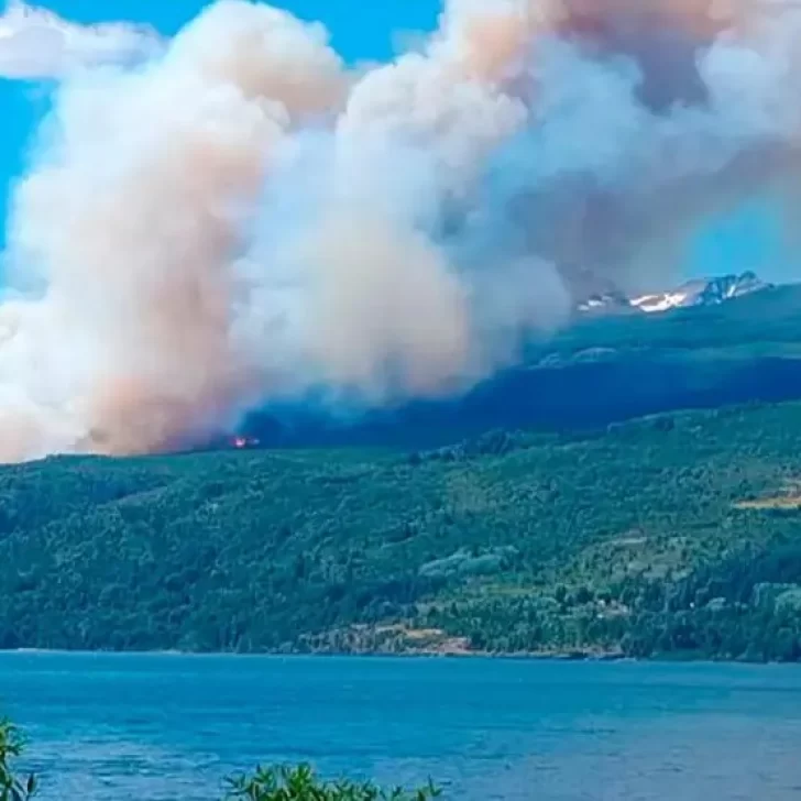 Suman brigadistas a la lucha contra el fuego en el Parque Nacional Los Alerces