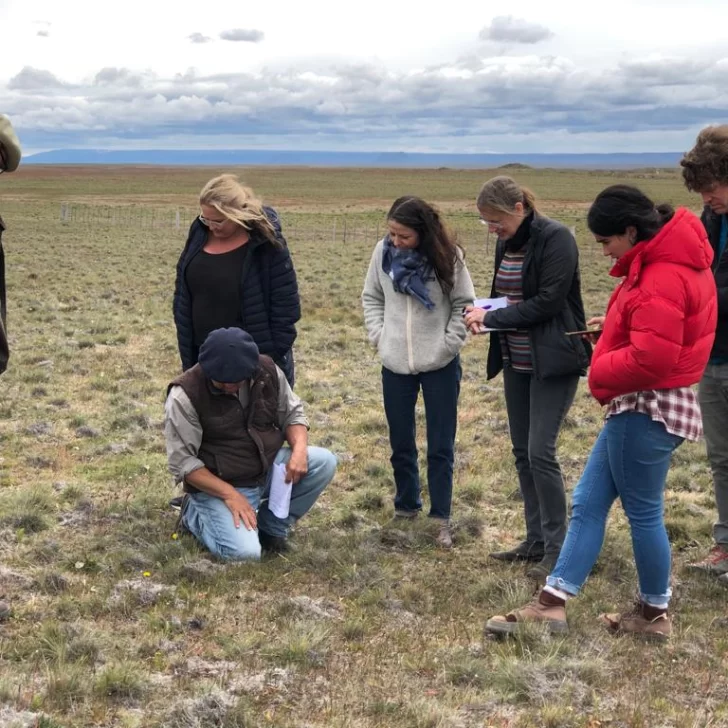 Visita extranjera para ajustar protocolos en la producción de lana responsable