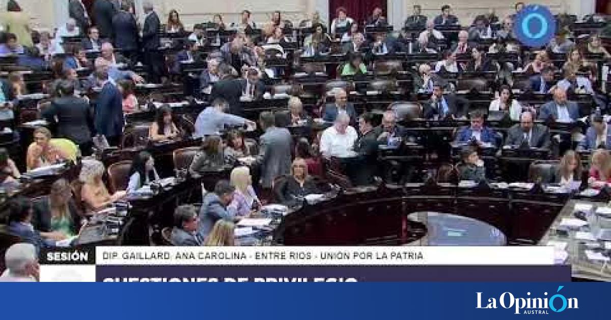 Sesión en vivo de la Cámara de Diputados: segundo día de debate de la ...