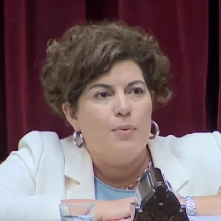 Ana Clara Romero ratificó su apoyo a la Ley Ómnibus: “Es importante porque nos da libertad de comercio”