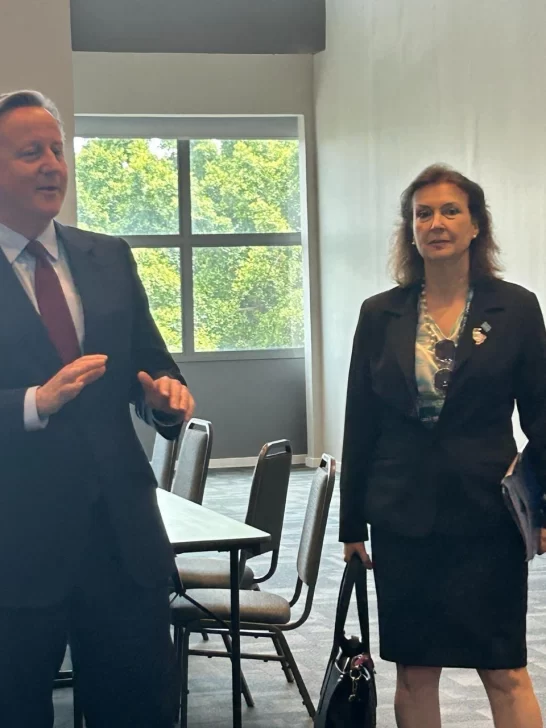 Malvinas: Diana Mondino se reunió con el canciller británico, David Cameron, en Brasil