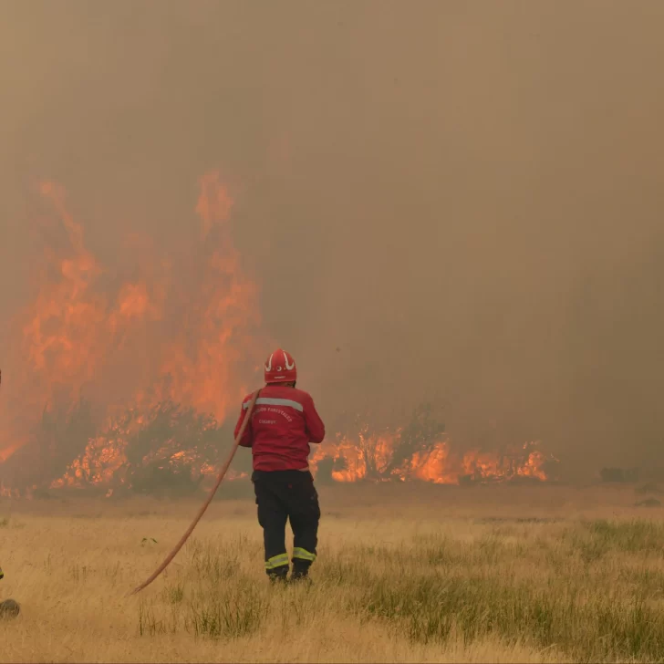 Sigue el intenso operativo para combatir el incendio en “Los Alerces”