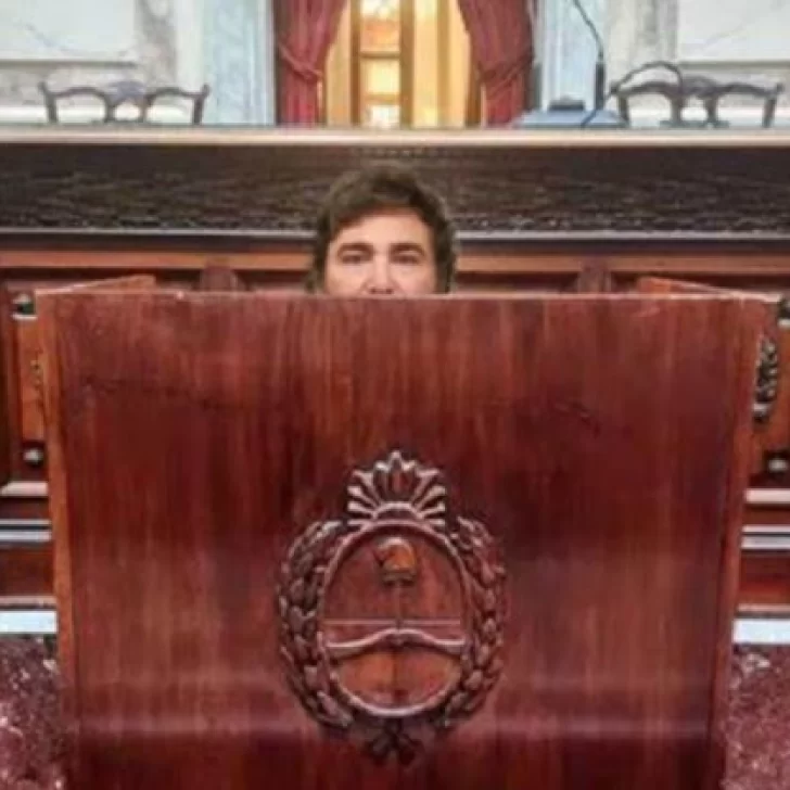 Estallaron los memes por el atril que usará Milei en el Congreso Estallaron los memes por el atril que usará Milei en el Congreso