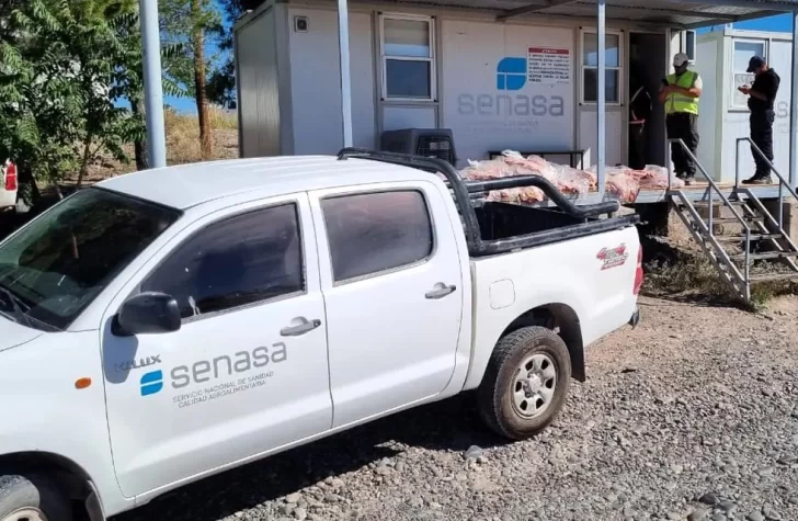 Decomisan 600 kilos de costillares ingresados ilegalmente a la Patagonia