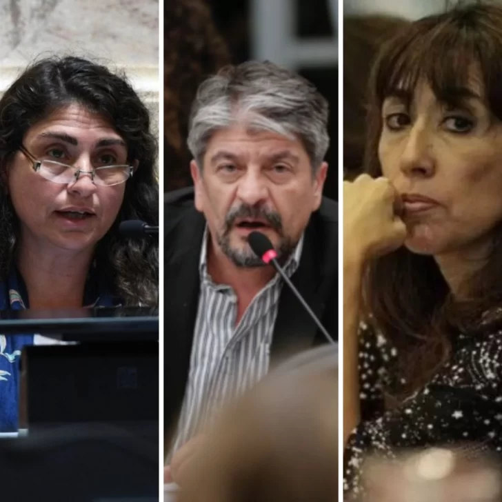 Cómo votaron los diputados de Santa Cruz la delegación de facultades extraordinarias