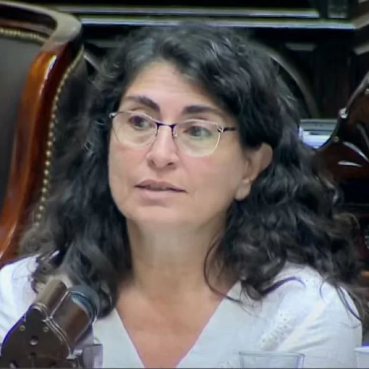 Ana María Ianni advirtió que la Ley Ómnibus “avasalla los derechos de los argentinos”