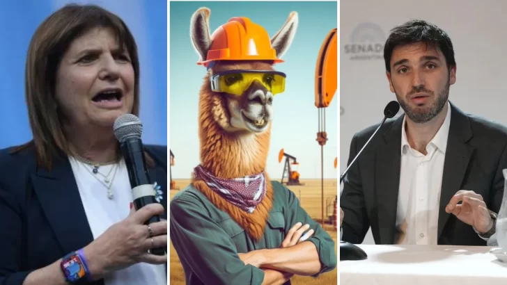 Guanacos al ataque: tras los dichos de Patricia Bullrich sobre Chubut, estallaron los memes