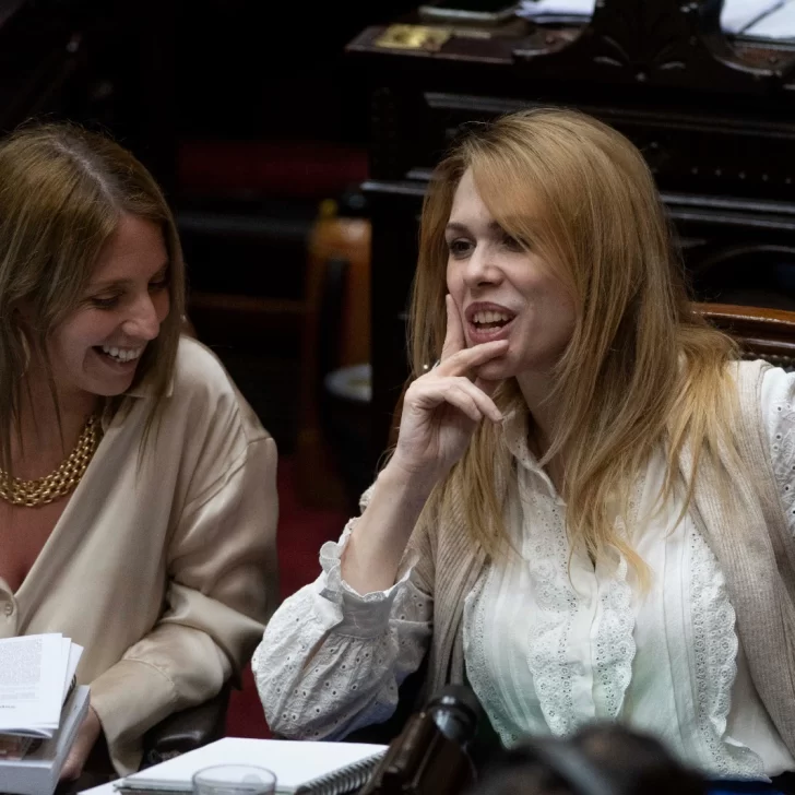 Lilia Lemoine: “Karina tendría que ser Presidente cuando se cumplan los dos mandatos de Javier”