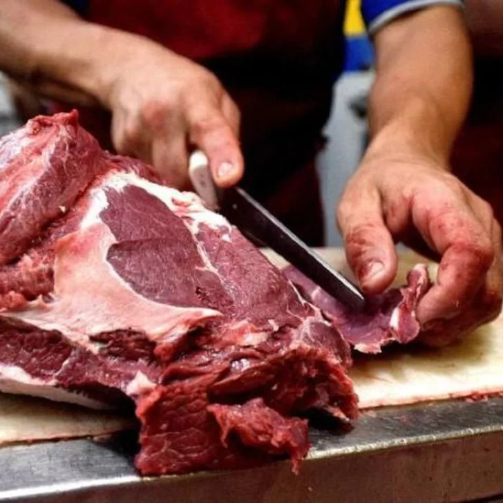 ¡Temor por la carne picada! El impacto de la economía en la salud: alertan por consumo de cortes baratos y sufrir síndrome urémico hemolítico