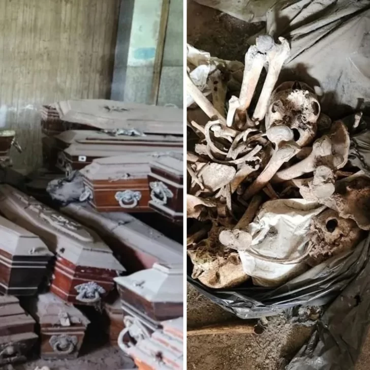 Macabro hallazgo en cementerio: encontraron 200 bolsas con restos humanos sin identificar y 500 ataúdes abandonados