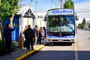 Sin colectivos en Río Gallegos: CityBus interrumpe el servicio durante la final del Mundial Sin colectivos en Río Gallegos: CityBus interrumpe el servicio durante la final del Mundial