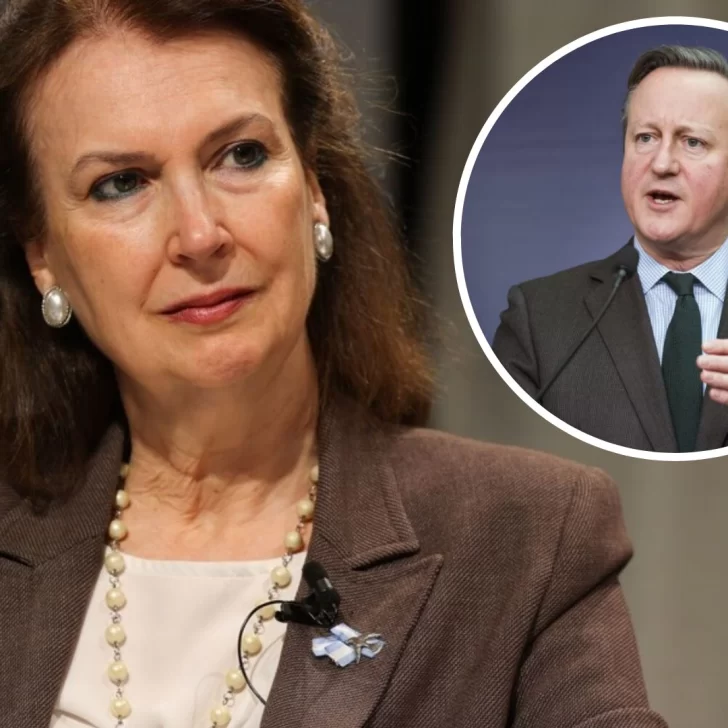 La chicana de Diana Mondino a David Cameron por su viaje a Malvinas: “Valoramos el gesto de incluir a Argentina en su visita” La chicana de Diana Mondino a David Cameron por su viaje a Malvinas: “Valoramos el gesto de incluir a Argentina en su visita”