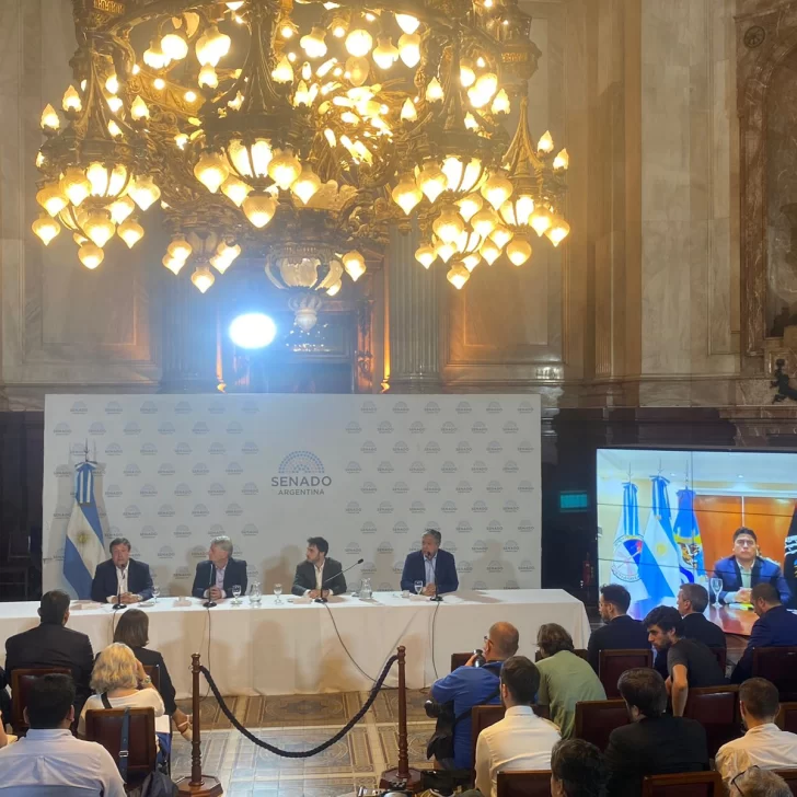 Conferencia de prensa de gobernadores patagónicos por el recorte de fondos en el Senado de Nación