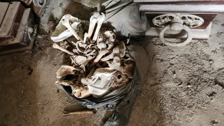 huesos-cementario-de-la-plata-728x410