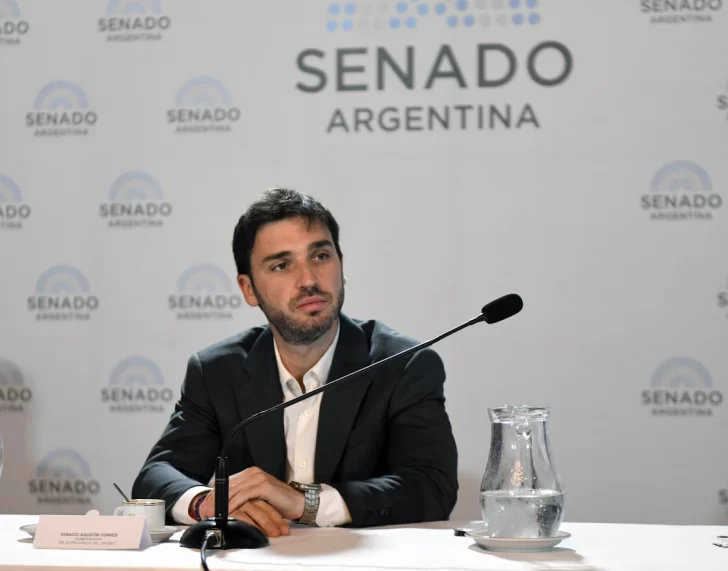 ignacio-torres-en-el-senado-728x571