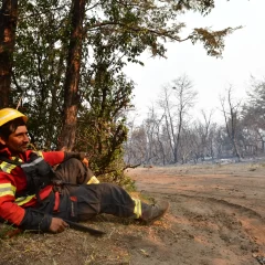 Pan American Energy aportará $100 millones para mitigar los daños en el Parque Los Alerces