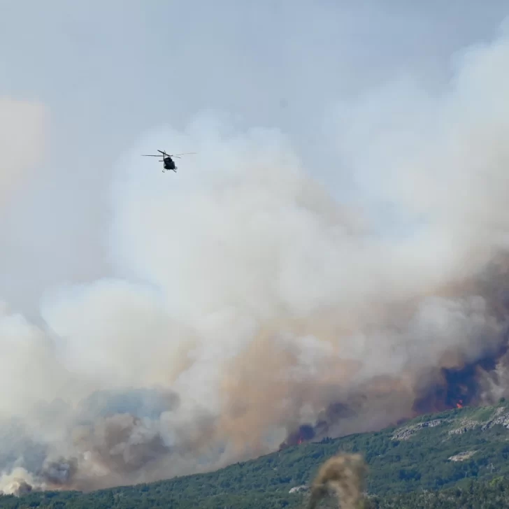 Ofrecen una recompensa de $5 millones para dar con los autores del incendio en Los Alerces