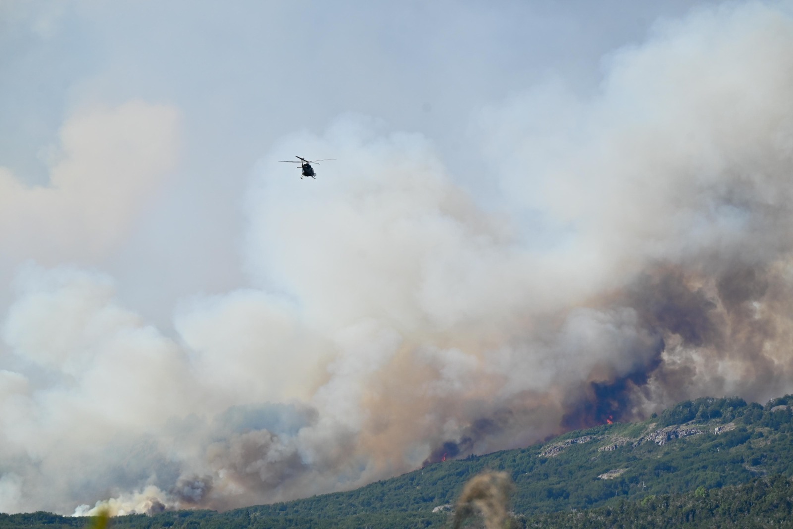 Ofrecen una recompensa de $5 millones para dar con los autores del incendio en Los Alerces