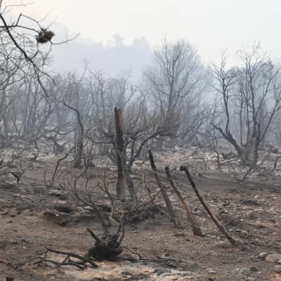 Incendio en Los Alerces: ya afectó más de 7 mil hectáreas de bosques nativos y pastizales