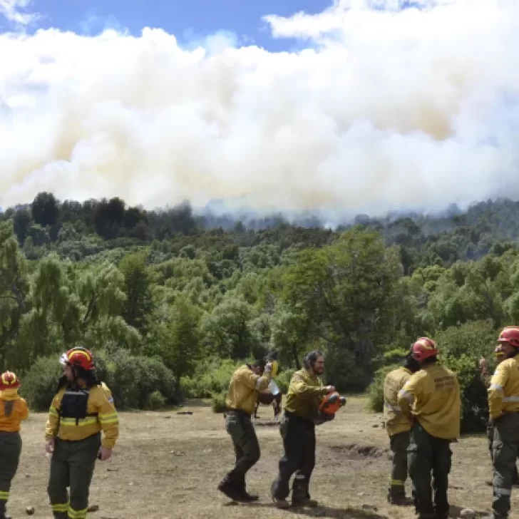 Sigue el combate contra el incendio en el Parque Nacional Los Alerces de Chubut Sigue el combate contra el incendio en el Parque Nacional Los Alerces de Chubut