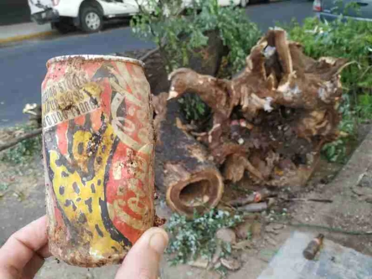 Derribaron un árbol y encontraron una lata de los Rolling Stones que es una reliquia para los coleccionistas