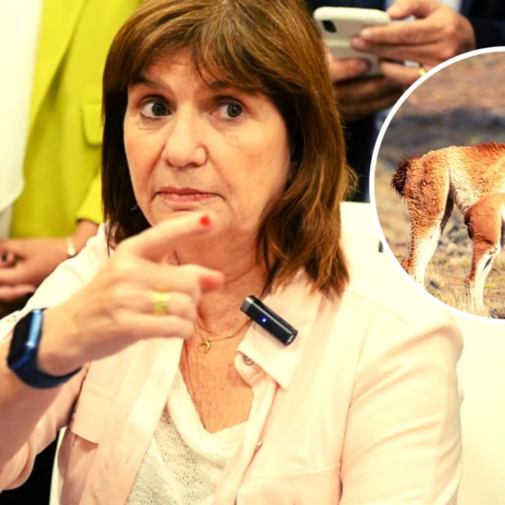 Patricia Bullrich: “En Chubut no vive nadie, no hay más que un millón de guanacos”