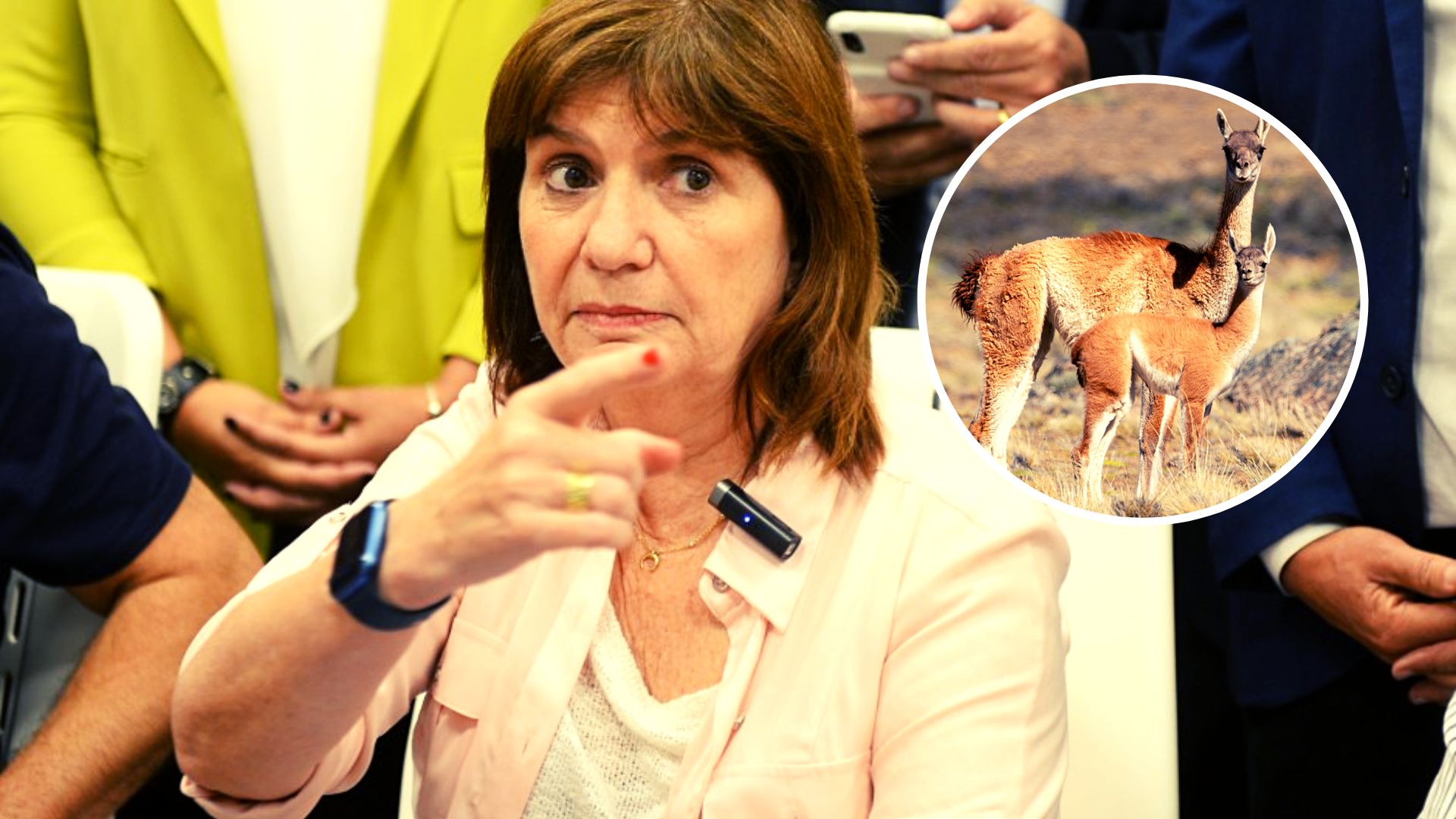 Patricia Bullrich: “En Chubut no vive nadie, no hay más que un millón de guanacos”