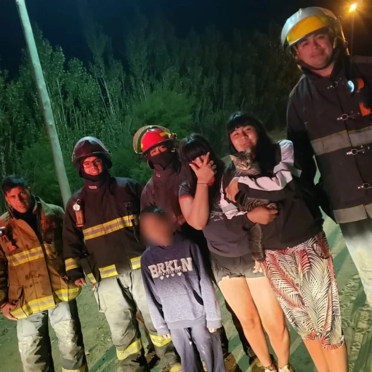 Bomberos rescataron un gatito atrapado en un árbol en el Barrio Las Palmas de Caleta Olivia