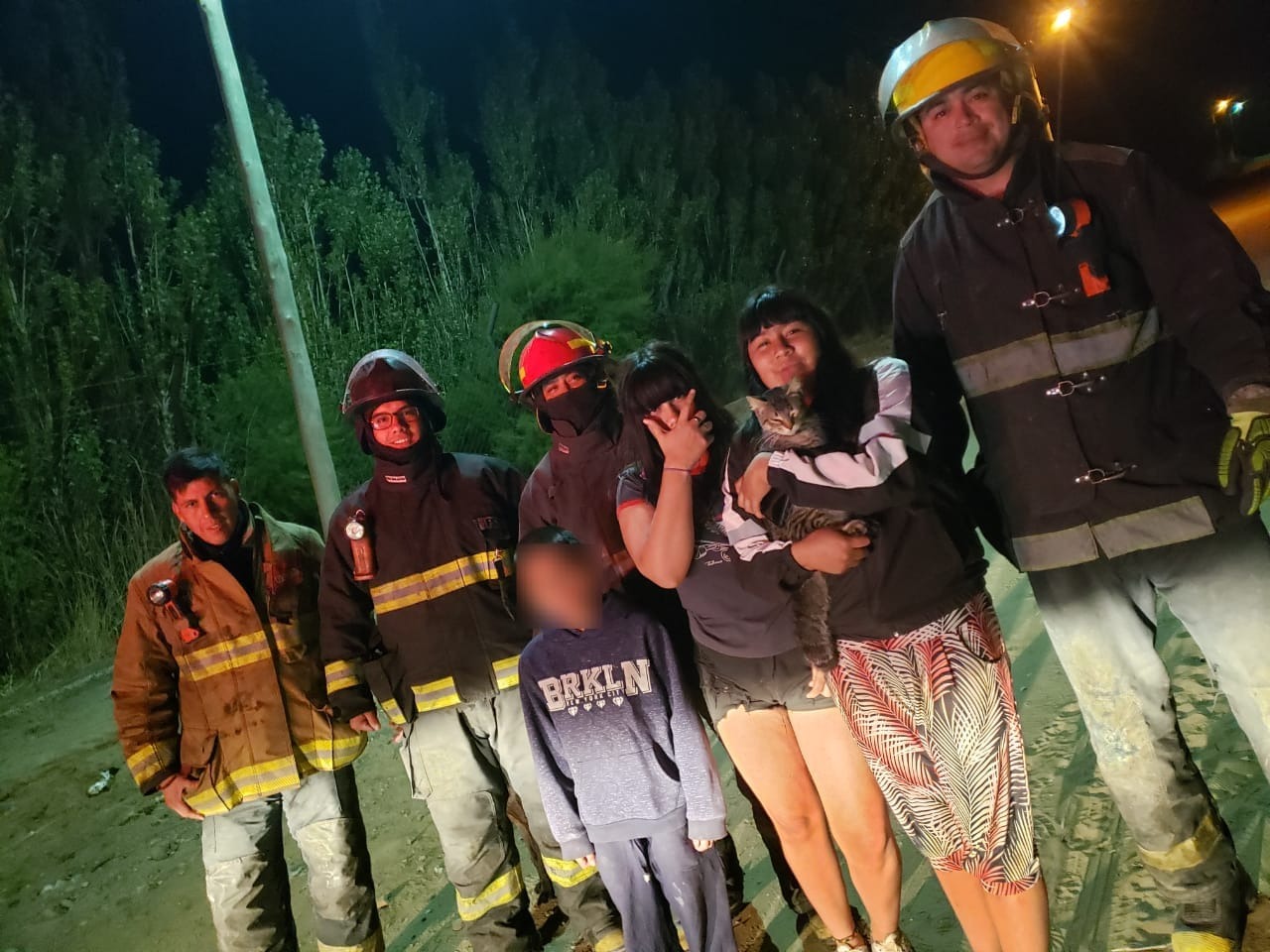 Bomberos rescataron un gatito atrapado en un árbol en el Barrio Las Palmas de Caleta Olivia