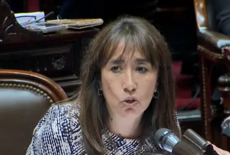 roxana-reyes-en-diputados-7843