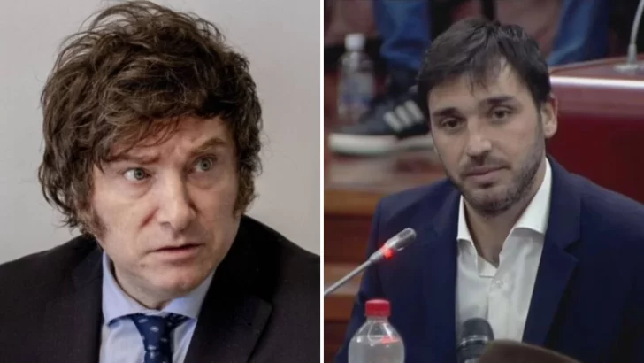 Torres apuntó contra Milei: ¿Cuánto odio puede haber para reírse de un chico con Síndrome de Down?