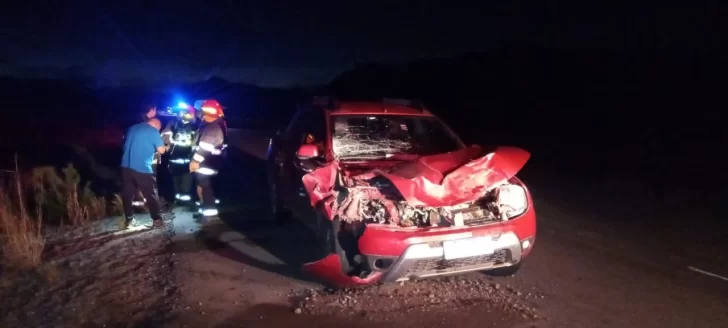 Chocó con un ciervo patagónico y volcó: una mujer sufrió politraumatismo de cráneo