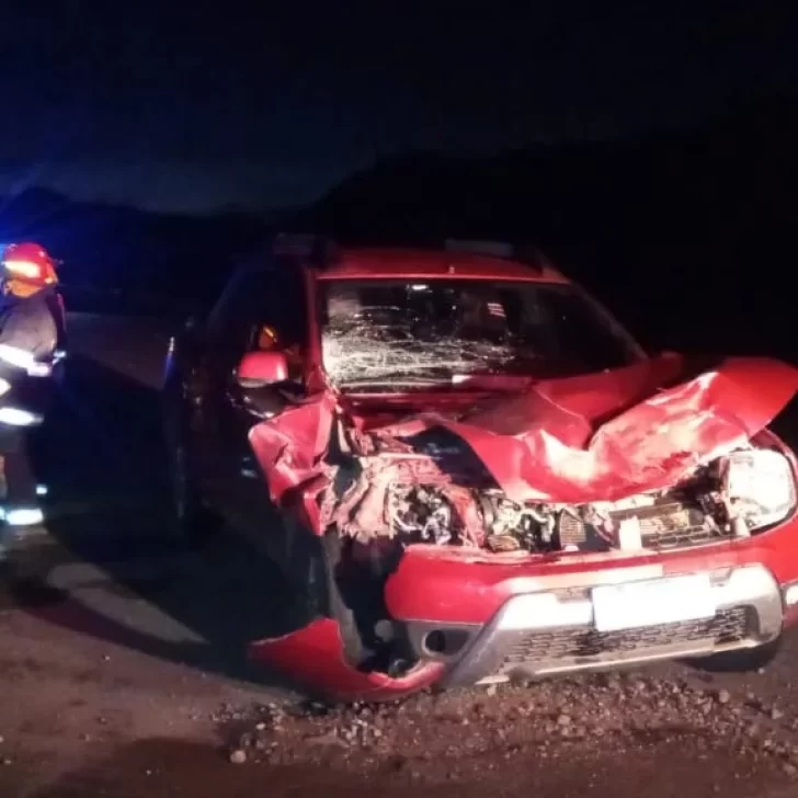 Chocó con un ciervo patagónico y volcó: una mujer sufrió politraumatismo de cráneo