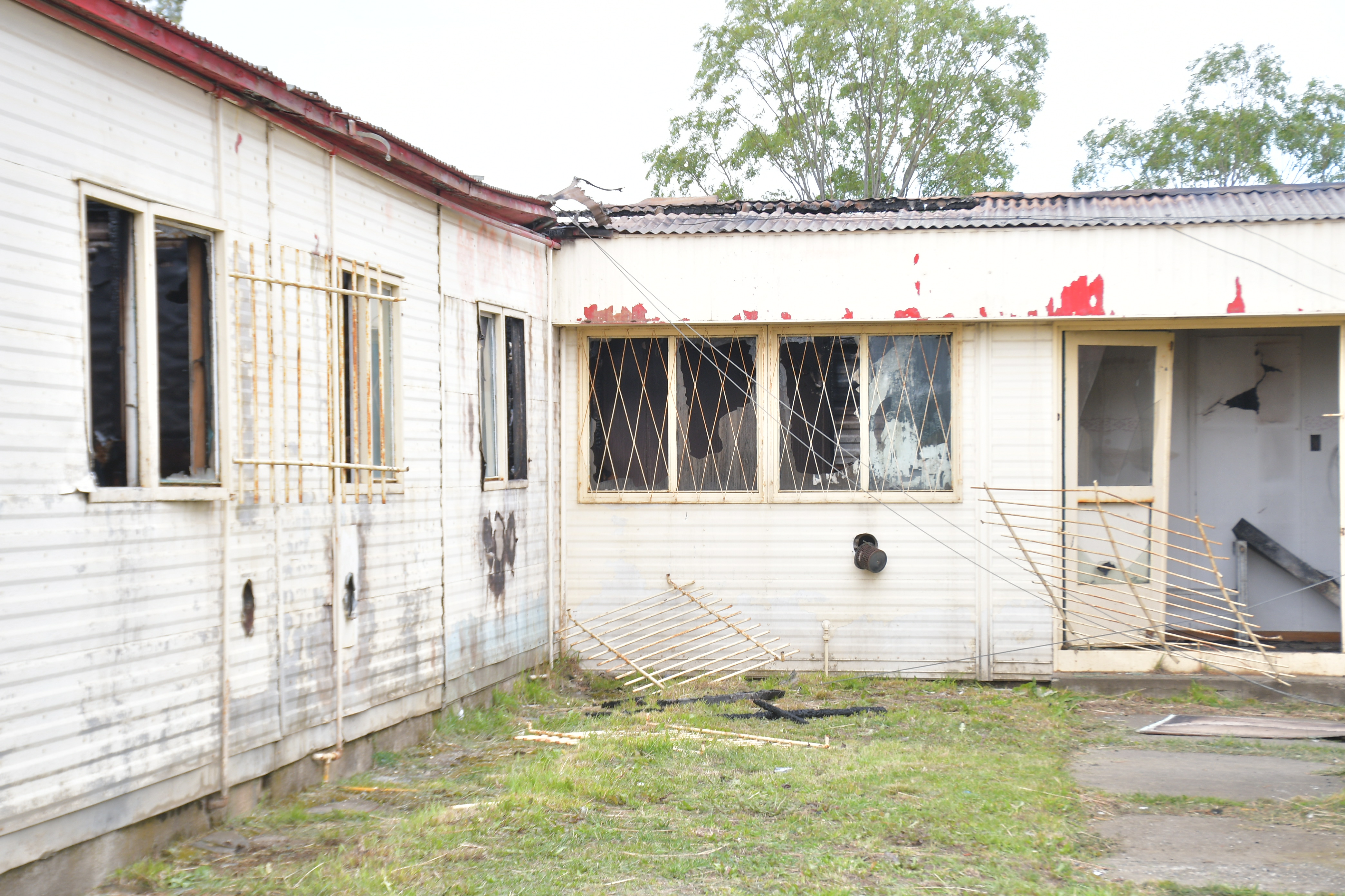 DSC_4185-728x485