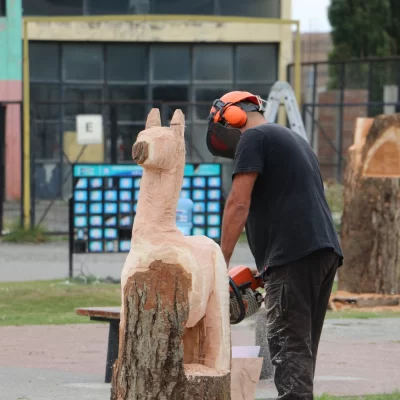 Encuentro de escultores cautivó al público en Río Turbio