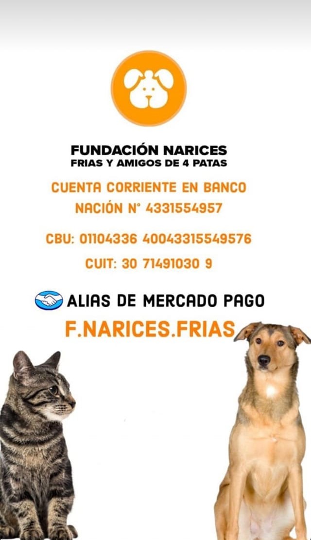 NARICES-FRIAS-420x728