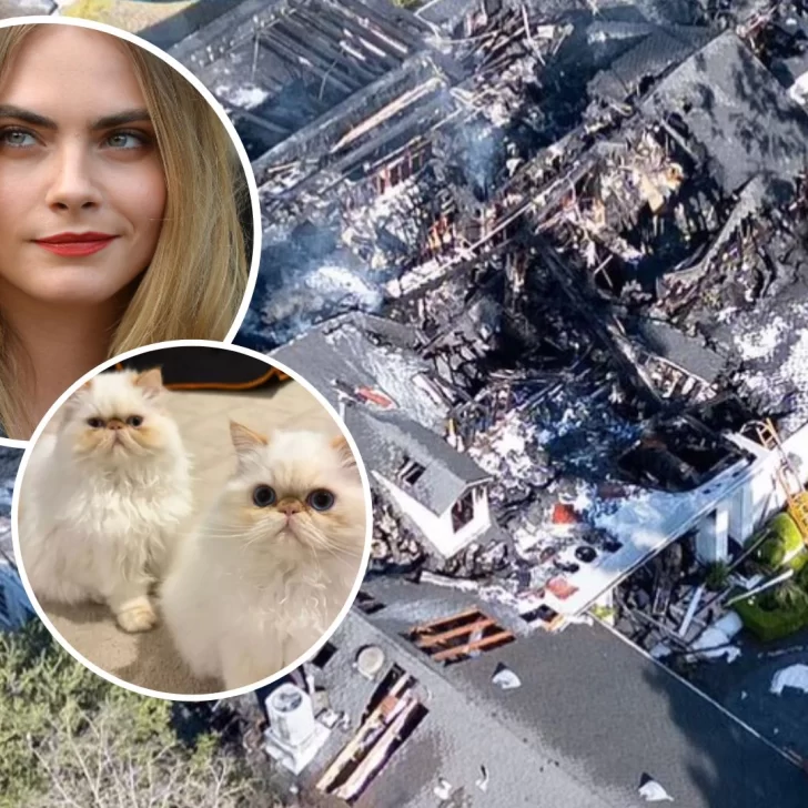 Video. Un impresionante incendio destruyó la mansión de la actriz Cara Delevingne: “Tengo el corazón roto”