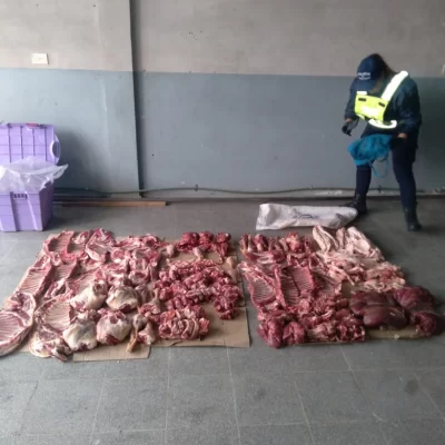 Un hombre y una mujer quedaron detenidos cuando transportaban carne ovina y de guanaco de manera ilegal 