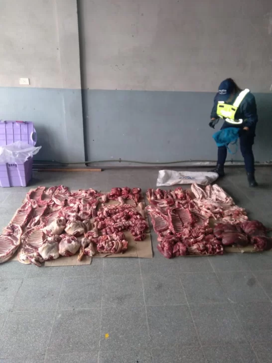 Un hombre y una mujer quedaron detenidos cuando transportaban carne ovina y de guanaco de manera ilegal 