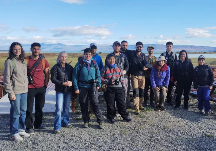 censo-neotropical-1-728x509