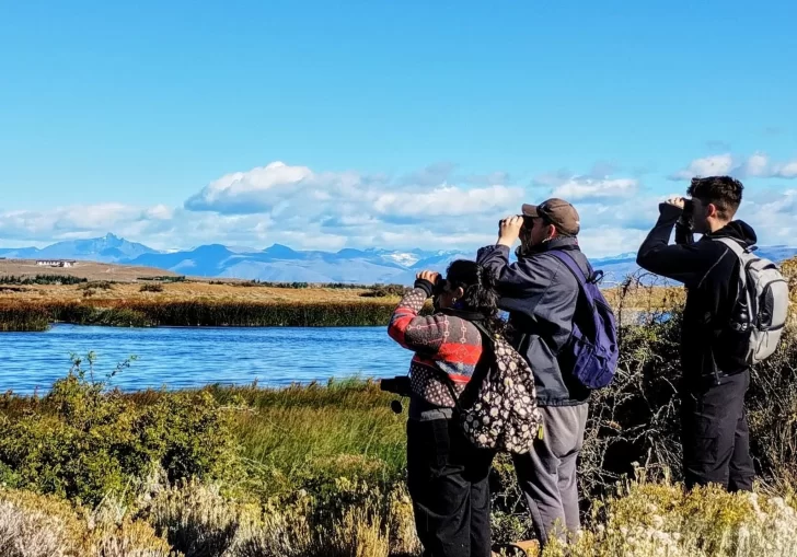 censo-neotropical-3-728x509 censo-neotropical-3-728x509