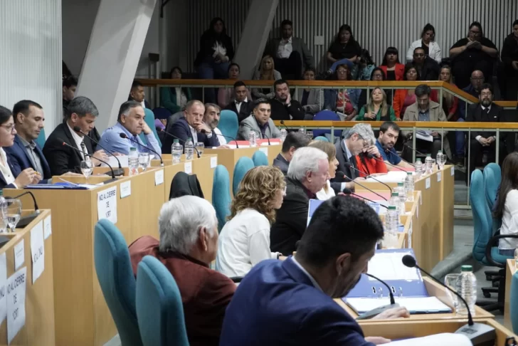 diputados-santa-cruz-sesion-uocra-represas-3-728x486