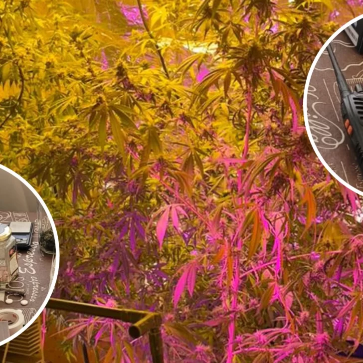 Detuvieron a 4 personas con cocaína, pastillas y marihuana en Río Gallegos, El Calafate y Piedra Buena Detuvieron a 4 personas con cocaína, pastillas y marihuana en Río Gallegos, El Calafate y Piedra Buena