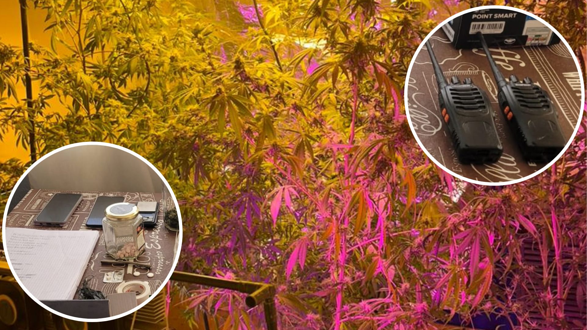 Detuvieron a 4 personas con cocaína, pastillas y marihuana en Río Gallegos, El Calafate y Piedra Buena Detuvieron a 4 personas con cocaína, pastillas y marihuana en Río Gallegos, El Calafate y Piedra Buena