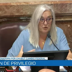 Senadora de Chubut que votó contra el DNU fue amenazada de muerte: “Te vamos a liquidar”