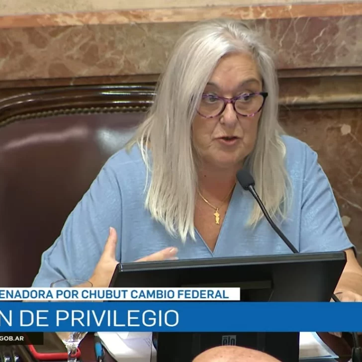 Edith Terenzi criticó a Javier Milei por sus “likes” en redes sociales: “Estas actitudes nos avergüenzan” Edith Terenzi criticó a Javier Milei por sus “likes” en redes sociales: “Estas actitudes nos avergüenzan”